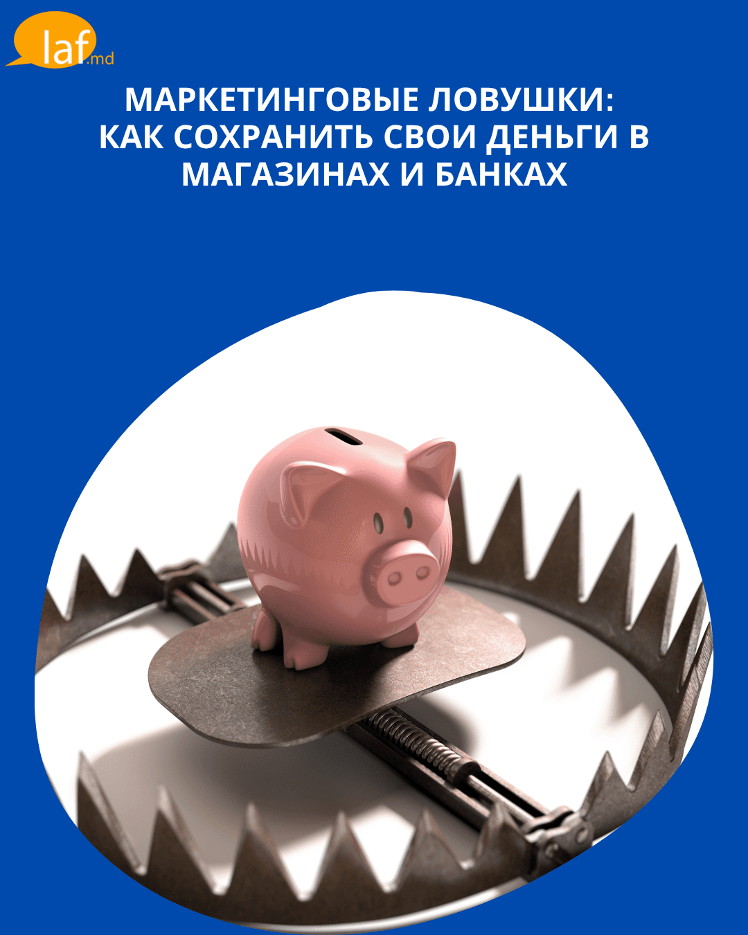 Изображение 1 из 7