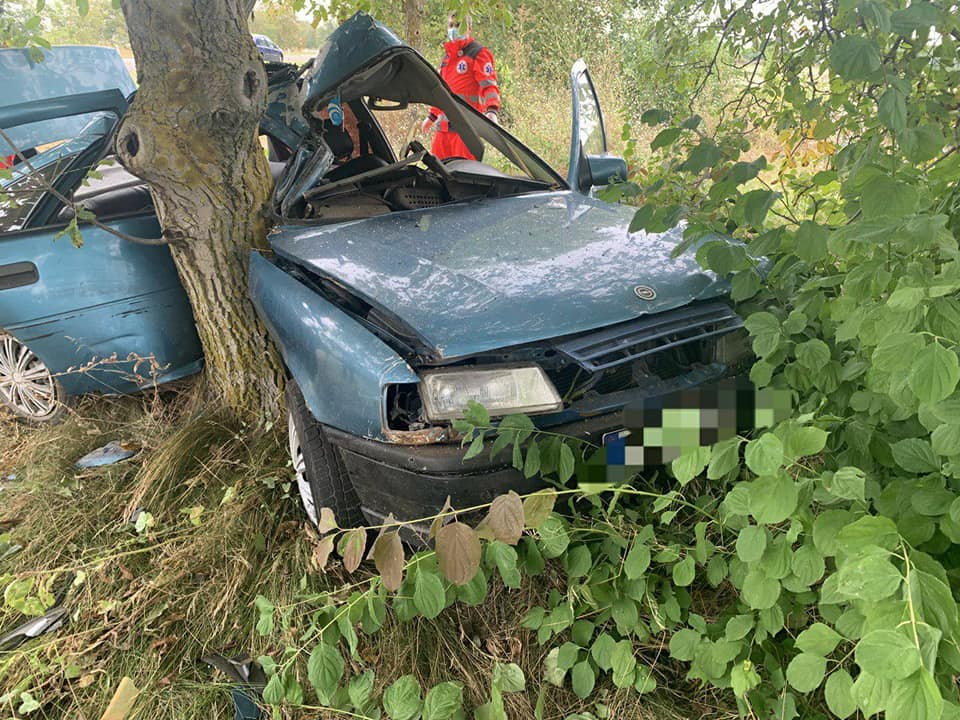 (Фото) Смертельная авария в Комратском районе. Автомобиль врезался в дерево
