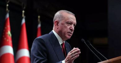 Президент Турции Эрдоган намерен приехать в Молдову