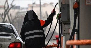 Сколько будет стоить литр бензина и дизеля 2 декабря? Новые цены НАРЭ