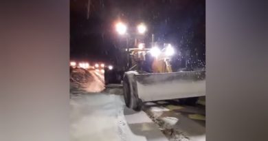 В Молдове минувшей ночью 157 снегоуборочных машин вышли на расчистку дорог