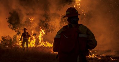 В Молдове за последние сутки ликвидировали 57 пожаров