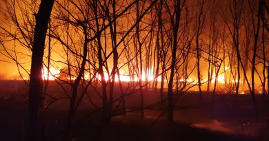(Видео) В Дезгинже участились поджоги травы. Из-за одного из пожаров пострадал лес