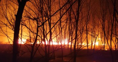 В Гагаузии участились пожары. Специалисты рассказали, как их избежать