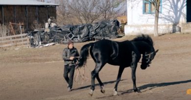 (Видео) Наш край: Чадыр-Лунга. 5 серия о туристических местах Гагаузии