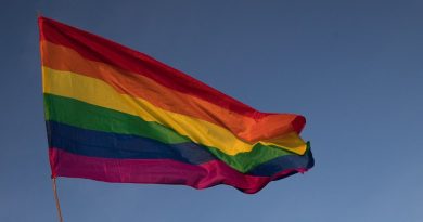 Депутаты НСГ приняли постановление о запрете пропаганды ЛГБТ-сообщества. В Гагаузии такой закон действует с 2013 года