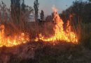 В Молдове действует «желтый код» из-за высокого риска пожаров