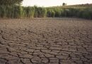 В Молдове объявили «оранжевый» уровень опасности гидрологической засухи