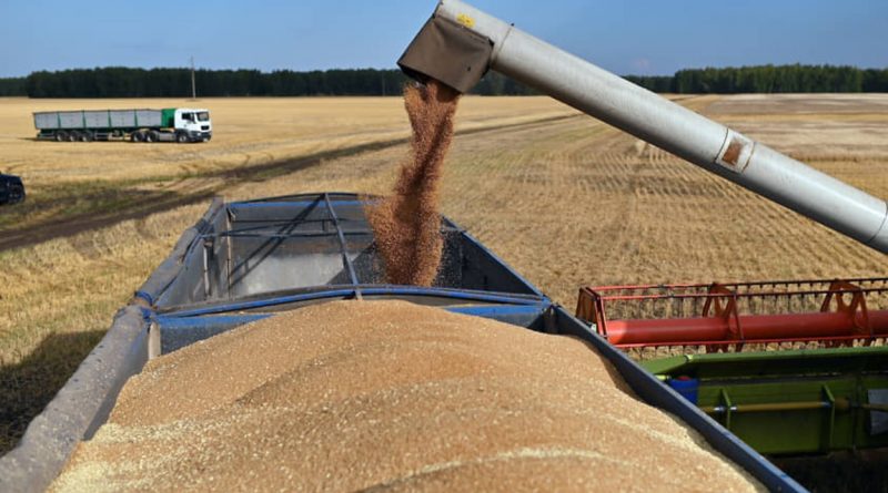 Молдавские фермеры просят власти снять ограничения на экспорт пшеницы