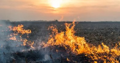 В Молдове продлили «желтый код» пожароопасности