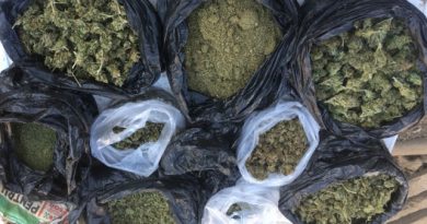 (Видео) Двое жителей Кагула подозреваются в выращивании и продаже наркотиков. В их домах нашли 8 кг  марихуаны