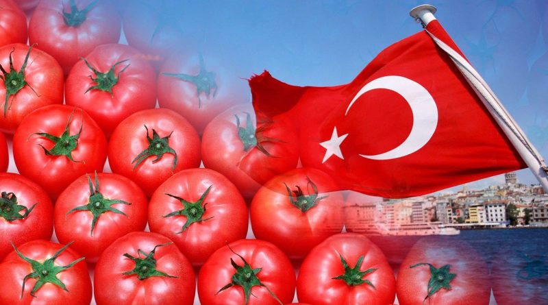 Цены на турецкие помидоры могут резко повыситься. В чем причина?